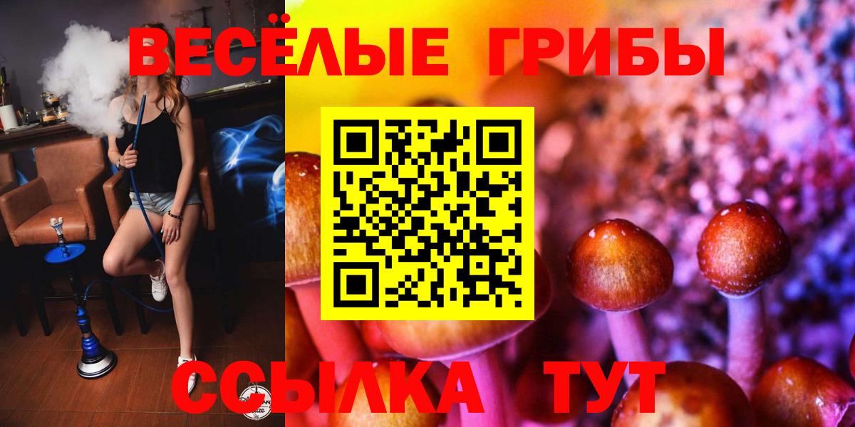 Черногорск  Псилоцибиновые грибы MAGIC MUSHROOMS  Вход с VPN 